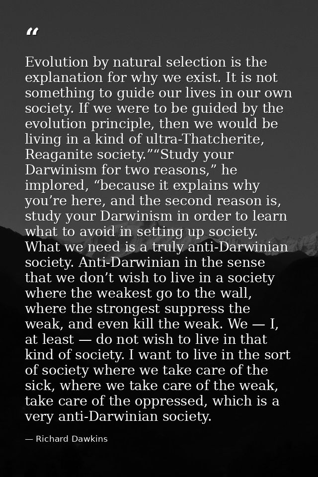 Evolution by natural selection is the explanation for why we exist. It is not something to guide our lives in our own so — Richard Dawkins