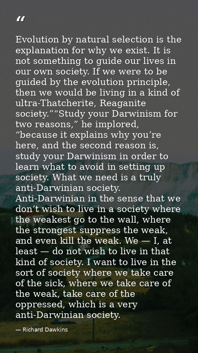 Evolution by natural selection is the explanation for why we exist. It is not something to guide our lives in our own so — Richard Dawkins