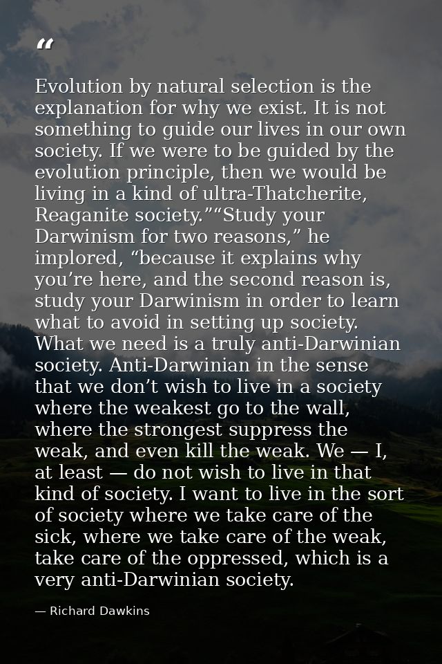 Evolution by natural selection is the explanation for why we exist. It is not something to guide our lives in our own so — Richard Dawkins
