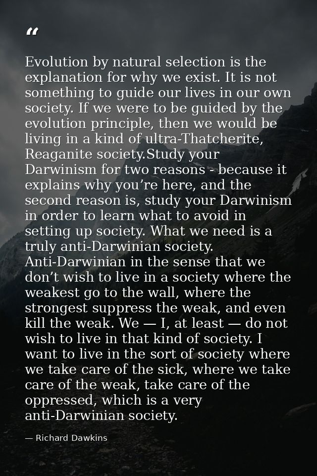 Evolution by natural selection is the explanation for why we exist. It is not something to guide our lives in our own so — Richard Dawkins