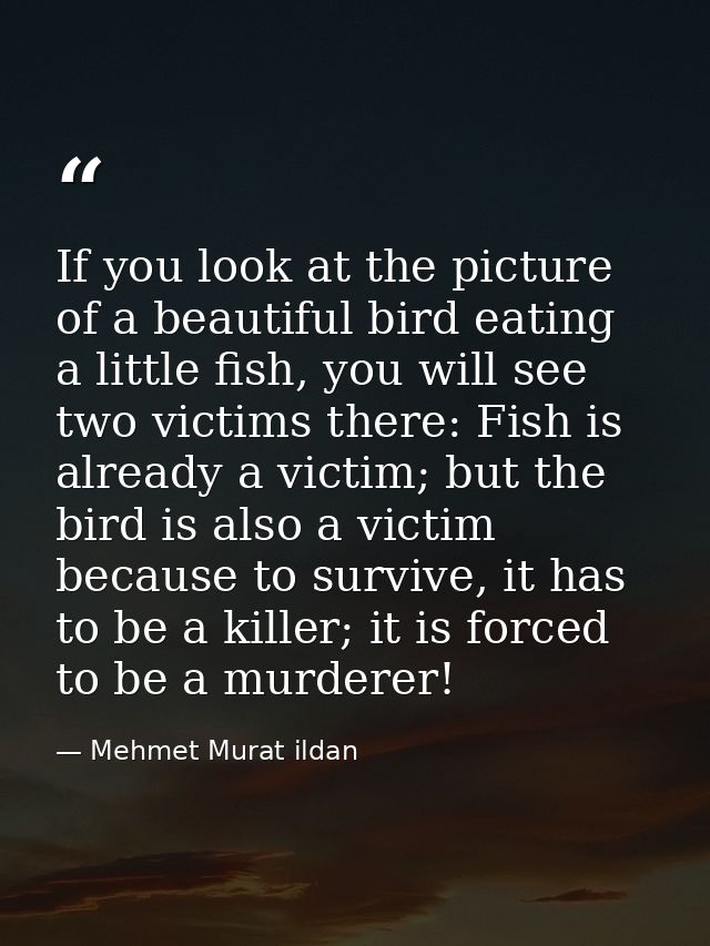 If you look at the picture of a beautiful bird eating a little fish, you will see two victims there: Fish is already a v — Mehmet Murat ildan