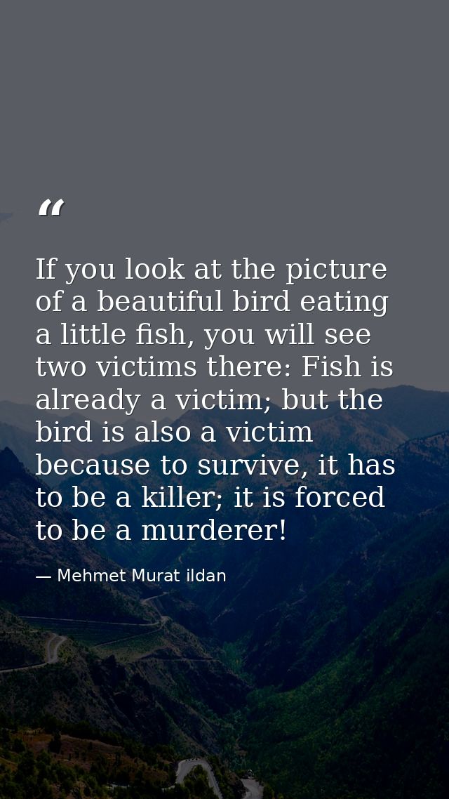 If you look at the picture of a beautiful bird eating a little fish, you will see two victims there: Fish is already a v — Mehmet Murat ildan