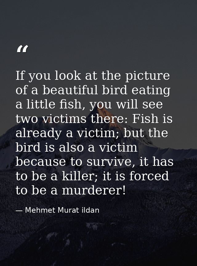 If you look at the picture of a beautiful bird eating a little fish, you will see two victims there: Fish is already a v — Mehmet Murat ildan
