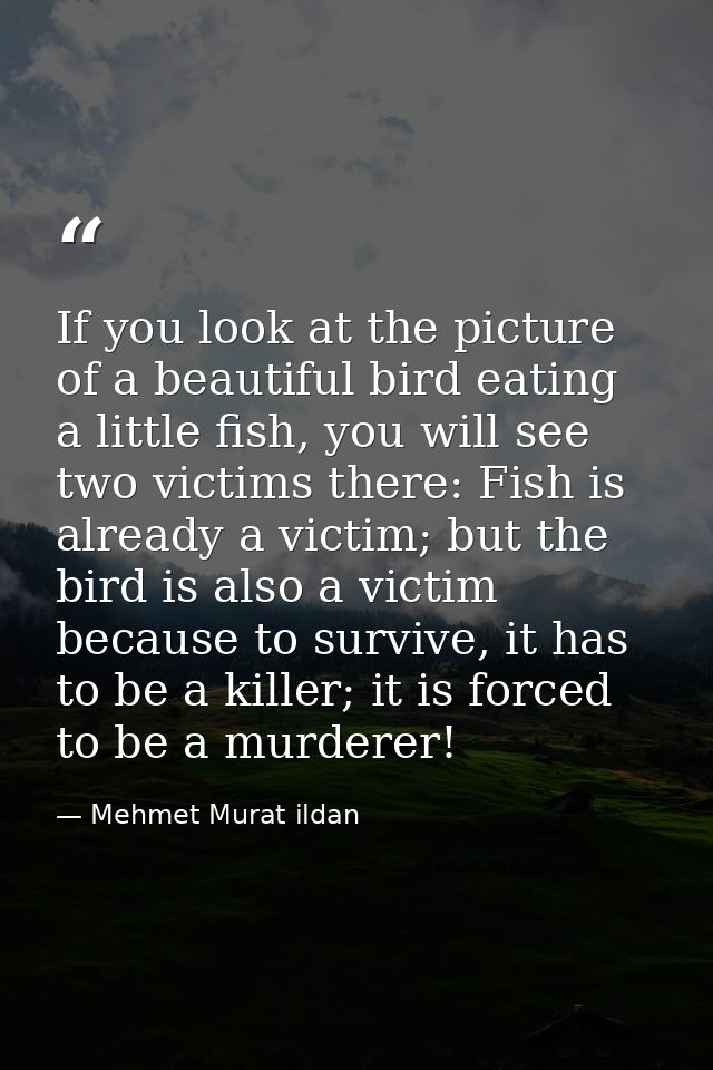 If you look at the picture of a beautiful bird eating a little fish, you will see two victims there: Fish is already a v — Mehmet Murat ildan