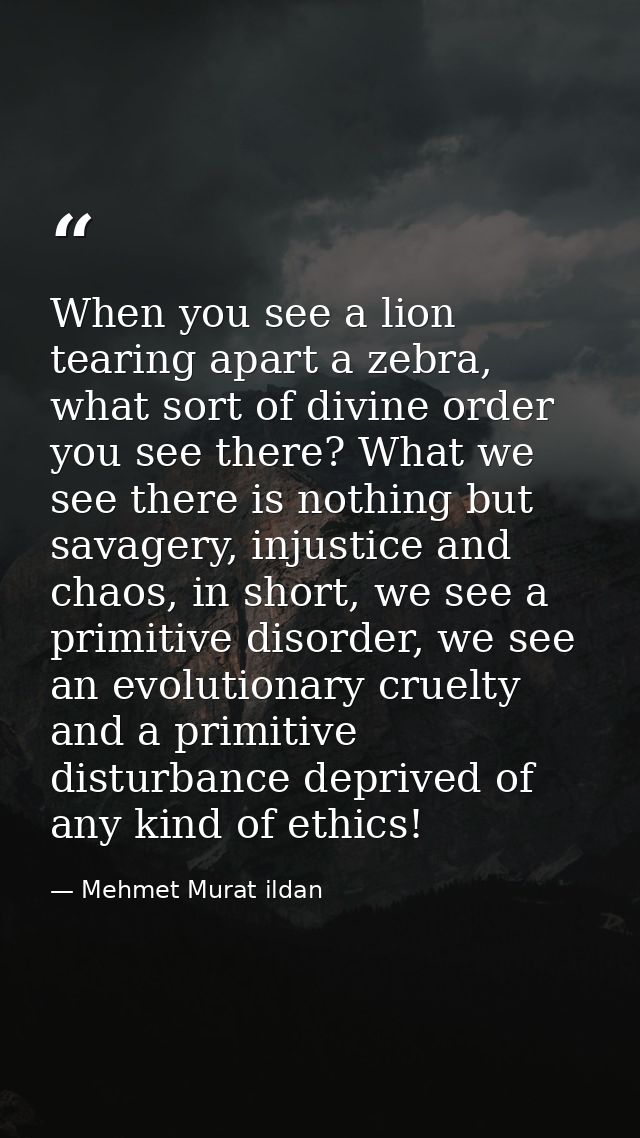 When you see a lion tearing apart a zebra, what sort of divine order you see there? What we see there is nothing but sav — Mehmet Murat ildan