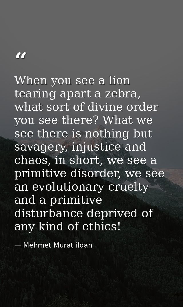 When you see a lion tearing apart a zebra, what sort of divine order you see there? What we see there is nothing but sav — Mehmet Murat ildan