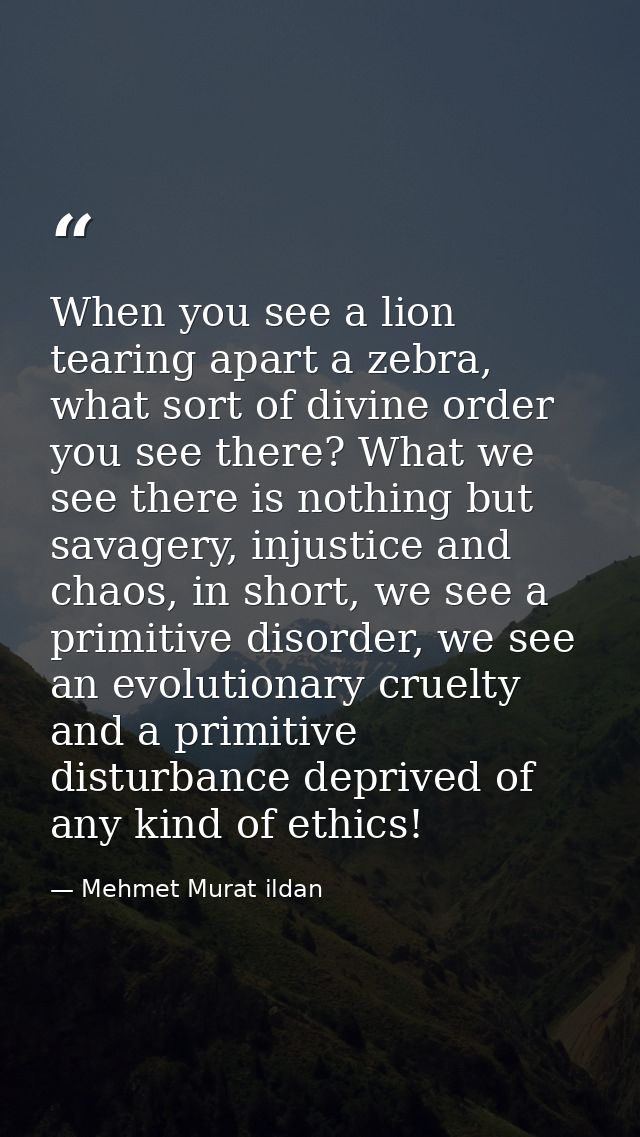 When you see a lion tearing apart a zebra, what sort of divine order you see there? What we see there is nothing but sav — Mehmet Murat ildan