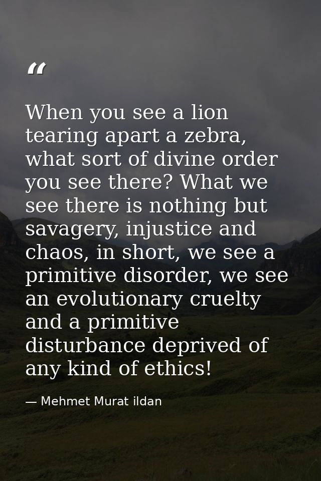 When you see a lion tearing apart a zebra, what sort of divine order you see there? What we see there is nothing but sav — Mehmet Murat ildan