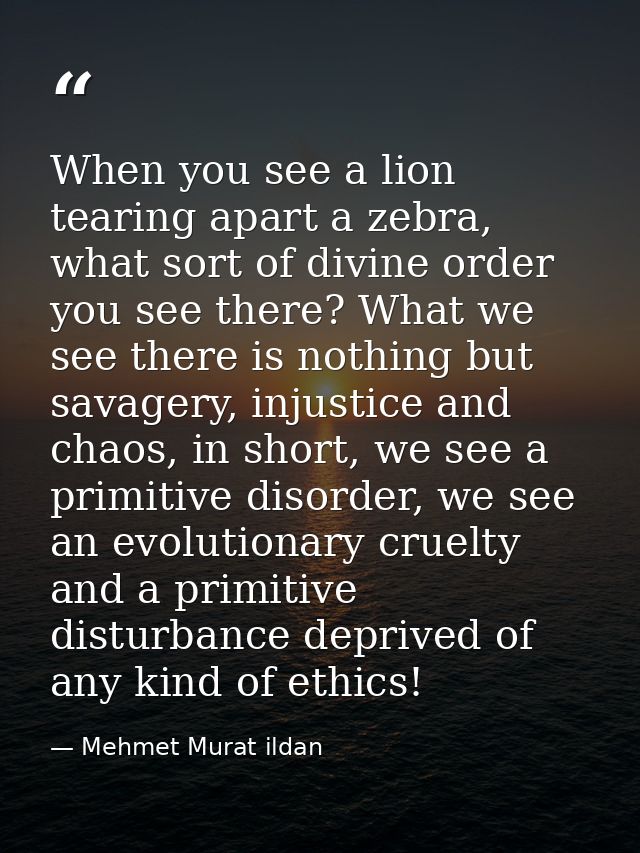When you see a lion tearing apart a zebra, what sort of divine order you see there? What we see there is nothing but sav — Mehmet Murat ildan