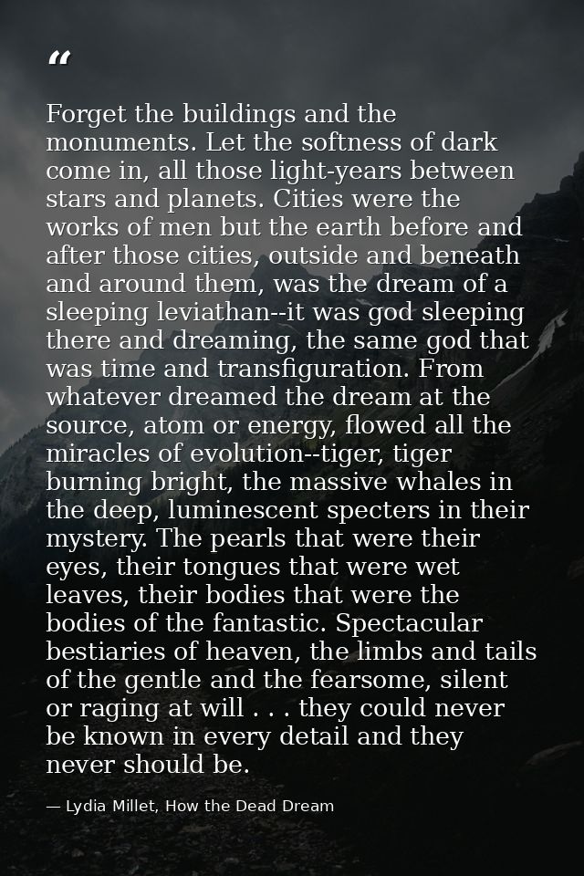Forget the buildings and the monuments. Let the softness of dark come in, all those light-years between stars and planet — Lydia Millet, How the Dead Dream