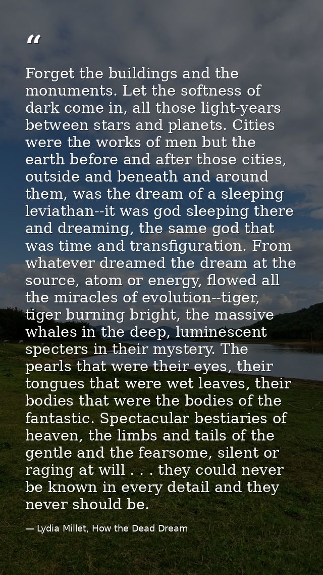 Forget the buildings and the monuments. Let the softness of dark come in, all those light-years between stars and planet — Lydia Millet, How the Dead Dream