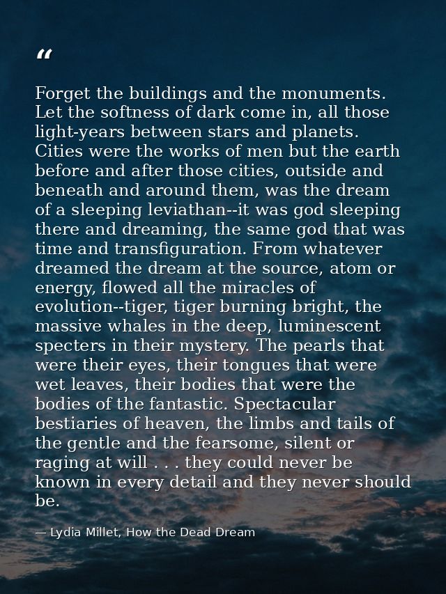 Forget the buildings and the monuments. Let the softness of dark come in, all those light-years between stars and planet — Lydia Millet, How the Dead Dream