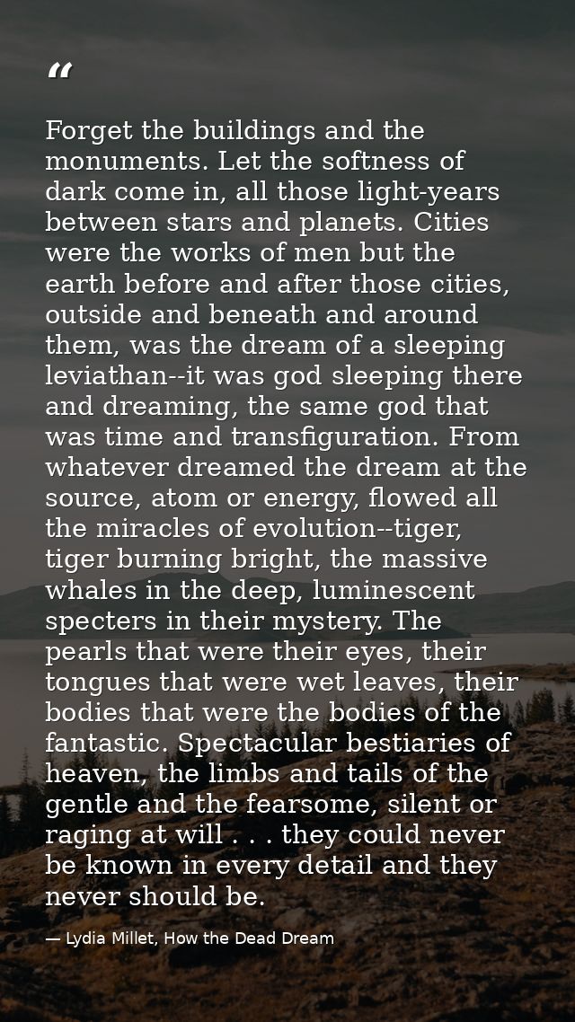 Forget the buildings and the monuments. Let the softness of dark come in, all those light-years between stars and planet — Lydia Millet, How the Dead Dream
