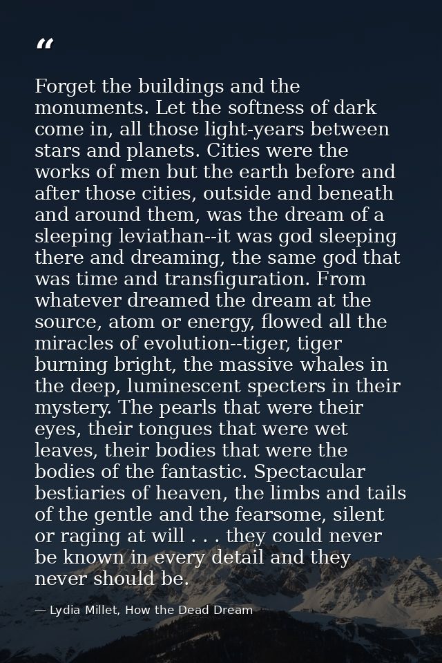 Forget the buildings and the monuments. Let the softness of dark come in, all those light-years between stars and planet — Lydia Millet, How the Dead Dream