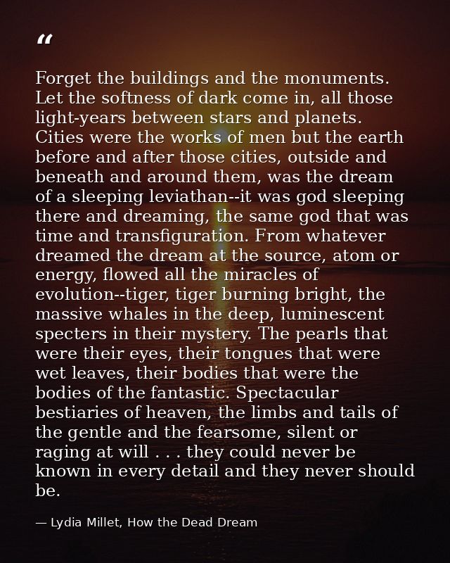 Forget the buildings and the monuments. Let the softness of dark come in, all those light-years between stars and planet — Lydia Millet, How the Dead Dream