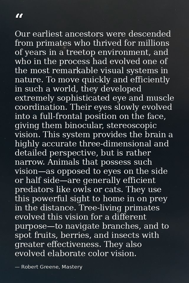 Our earliest ancestors were descended from primates who thrived for millions of years in a treetop environment, and who  — Robert Greene, Mastery