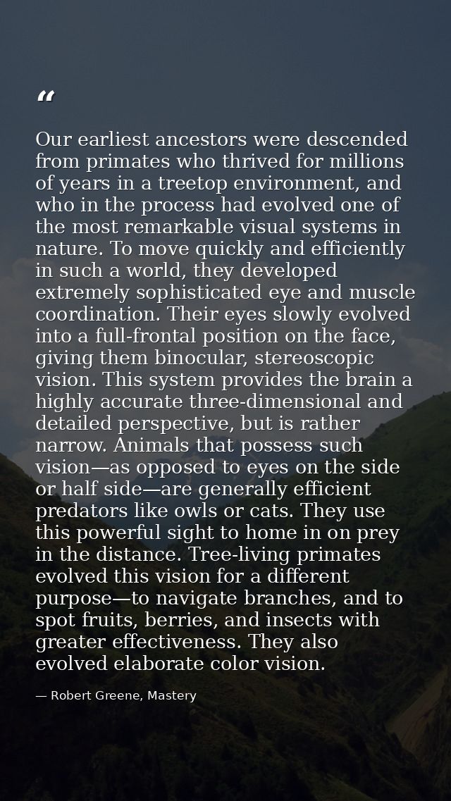 Our earliest ancestors were descended from primates who thrived for millions of years in a treetop environment, and who  — Robert Greene, Mastery
