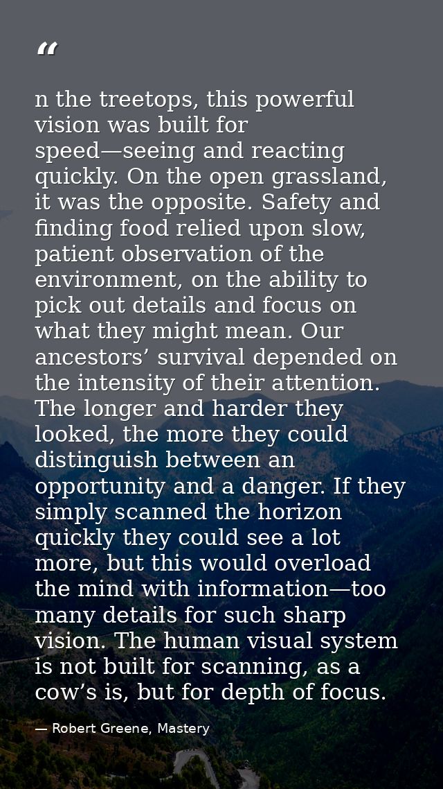 n the treetops, this powerful vision was built for speed—seeing and reacting quickly. On the open grassland, it was the  — Robert Greene, Mastery