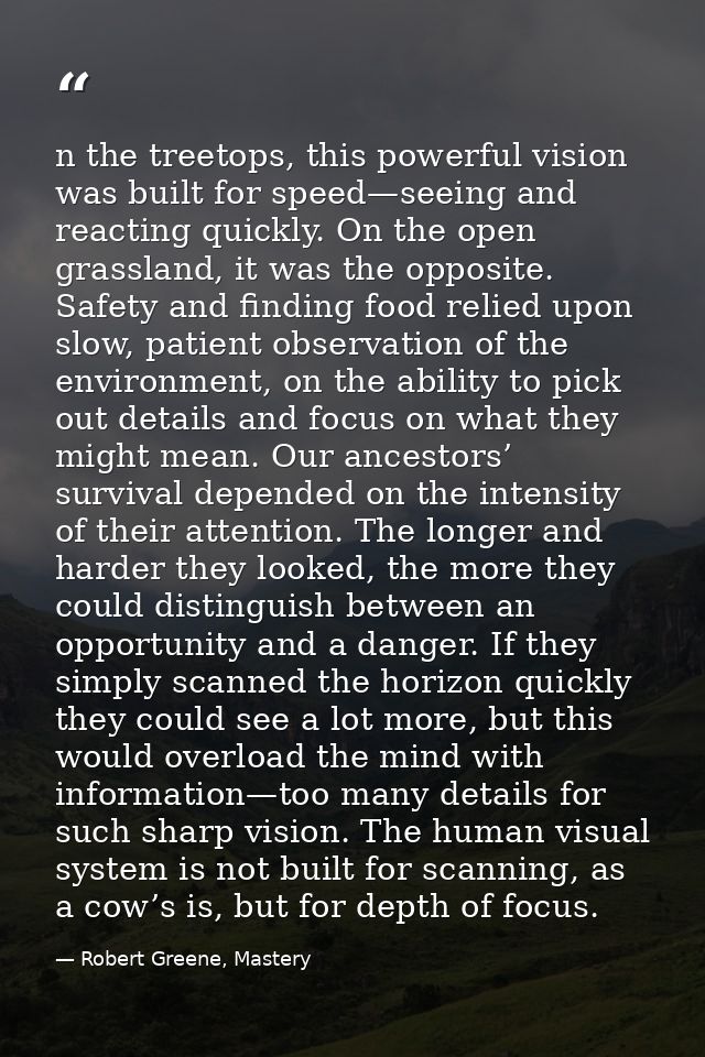 n the treetops, this powerful vision was built for speed—seeing and reacting quickly. On the open grassland, it was the  — Robert Greene, Mastery