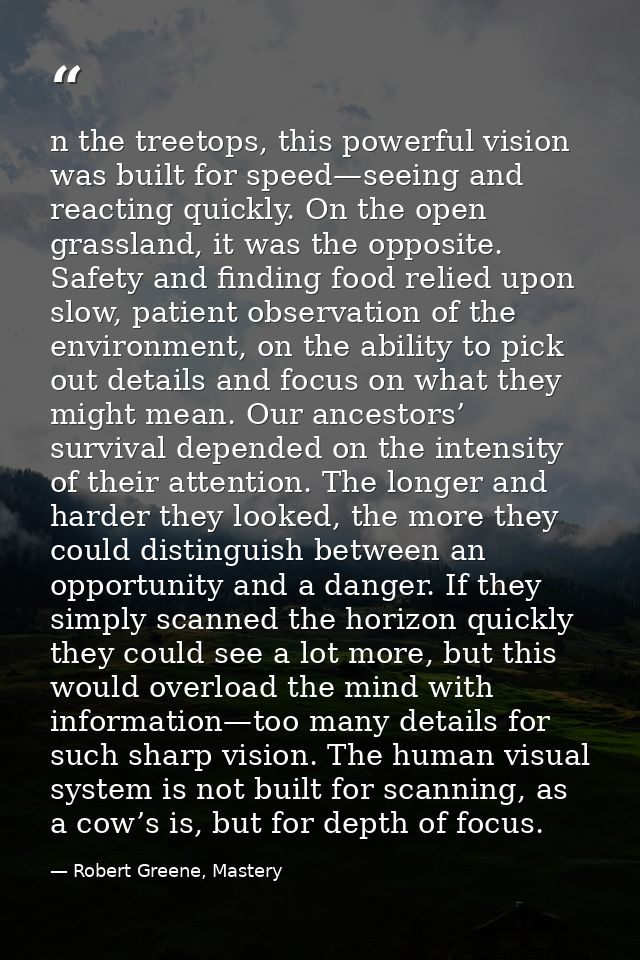 n the treetops, this powerful vision was built for speed—seeing and reacting quickly. On the open grassland, it was the  — Robert Greene, Mastery