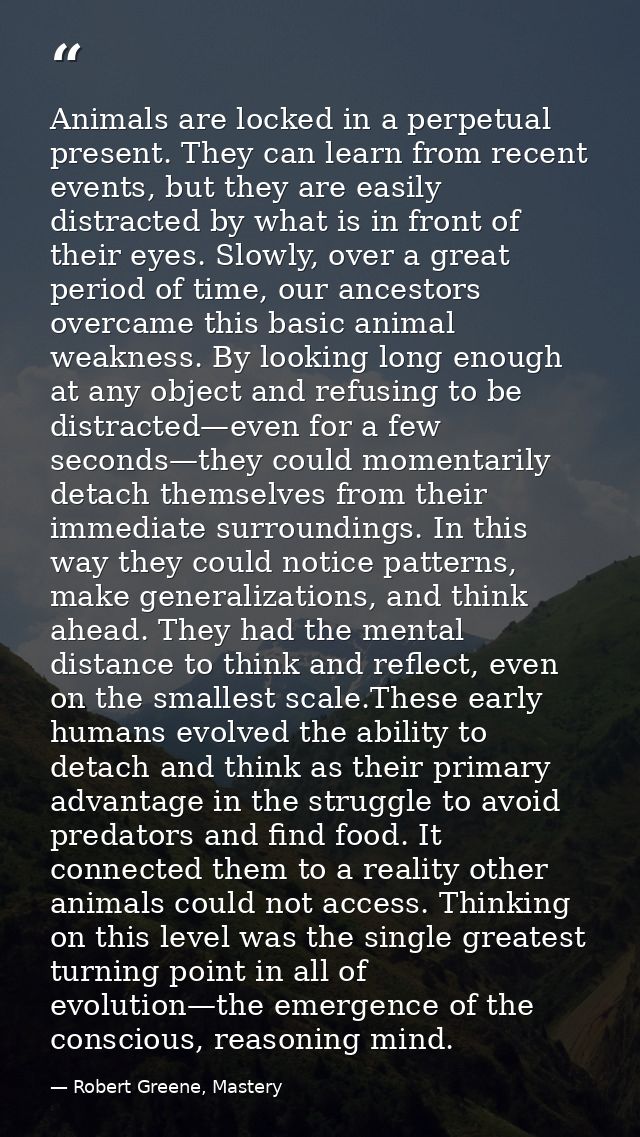 Animals are locked in a perpetual present. They can learn from recent events, but they are easily distracted by what is  — Robert Greene, Mastery