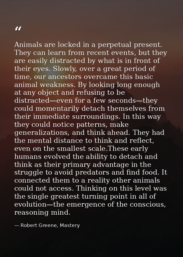 Animals are locked in a perpetual present. They can learn from recent events, but they are easily distracted by what is  — Robert Greene, Mastery