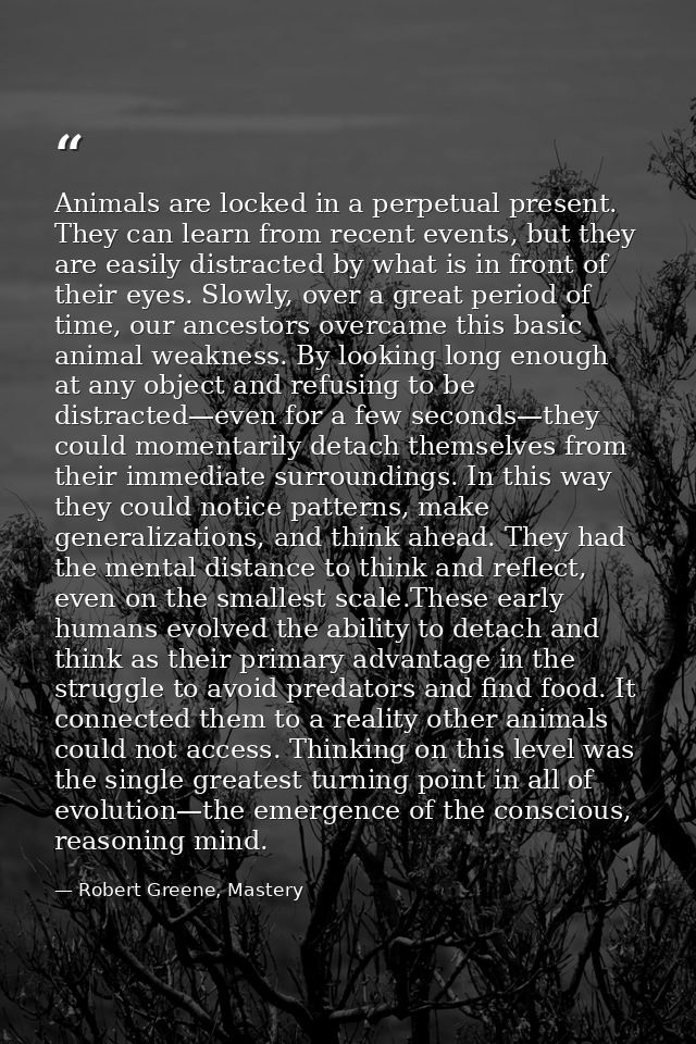 Animals are locked in a perpetual present. They can learn from recent events, but they are easily distracted by what is  — Robert Greene, Mastery