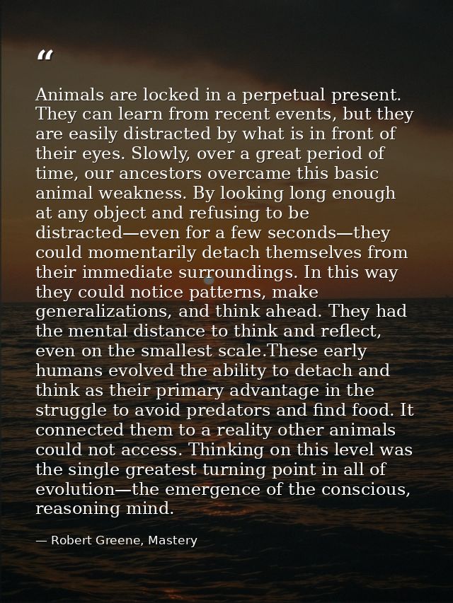Animals are locked in a perpetual present. They can learn from recent events, but they are easily distracted by what is  — Robert Greene, Mastery
