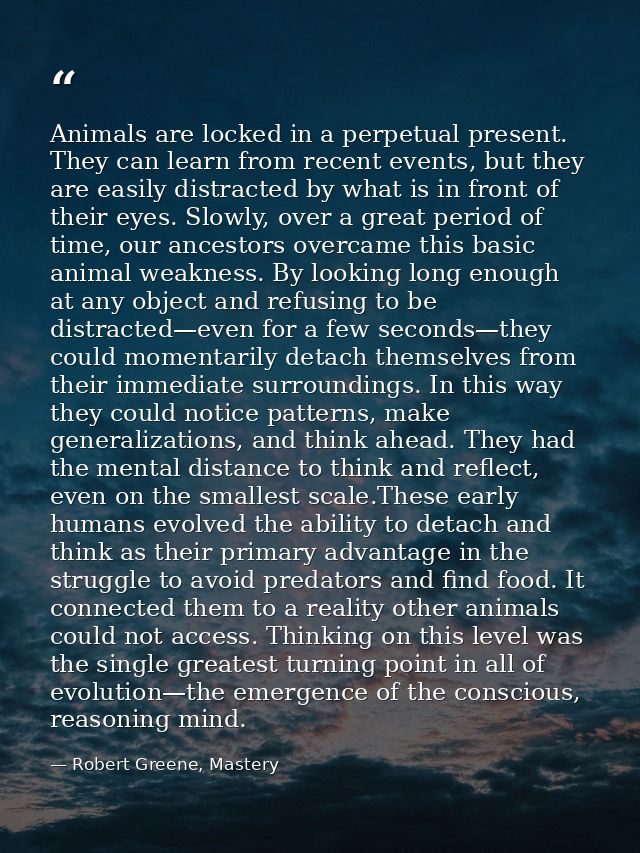 Animals are locked in a perpetual present. They can learn from recent events, but they are easily distracted by what is  — Robert Greene, Mastery