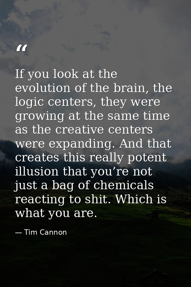 If you look at the evolution of the brain, the logic centers, they were growing at the same time as the creative centers — Tim Cannon