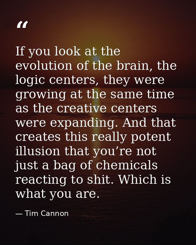 If you look at the evolution of the brain, the logic centers, they were growing at the same time as the creative centers — Tim Cannon
