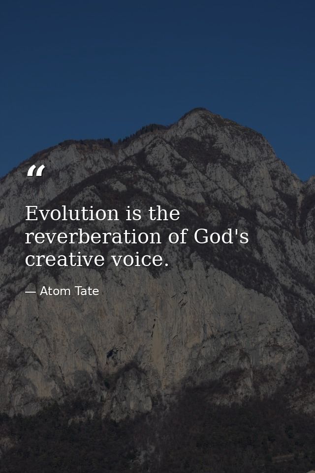 Evolution is the reverberation of God's creative voice. — Atom Tate