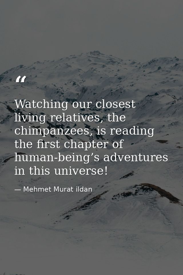 Watching our closest living relatives, the chimpanzees, is reading the first chapter of human-being’s adventures in this — Mehmet Murat ildan