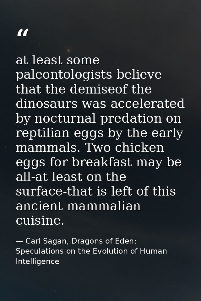 at least some paleontologists believe that the demiseof the dinosaurs was accelerated by nocturnal predation on reptilia — Carl Sagan, Dragons of Eden: Speculations on the Evolution of Human Intelligence