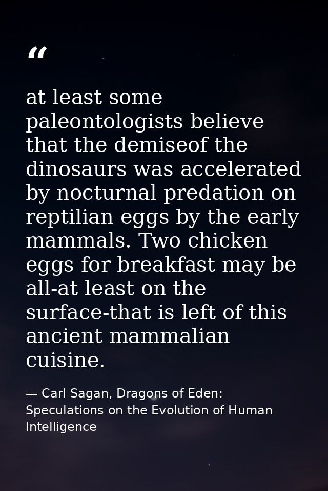 at least some paleontologists believe that the demiseof the dinosaurs was accelerated by nocturnal predation on reptilia — Carl Sagan, Dragons of Eden: Speculations on the Evolution of Human Intelligence