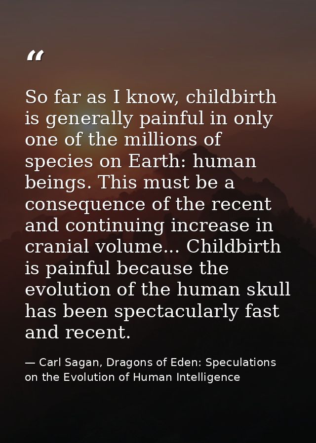 So far as I know, childbirth is generally painful in only one of the millions of species on Earth: human beings. This mu — Carl Sagan, Dragons of Eden: Speculations on the Evolution of Human Intelligence
