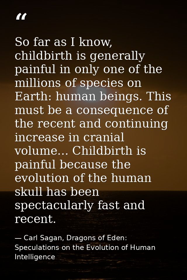 So far as I know, childbirth is generally painful in only one of the millions of species on Earth: human beings. This mu — Carl Sagan, Dragons of Eden: Speculations on the Evolution of Human Intelligence
