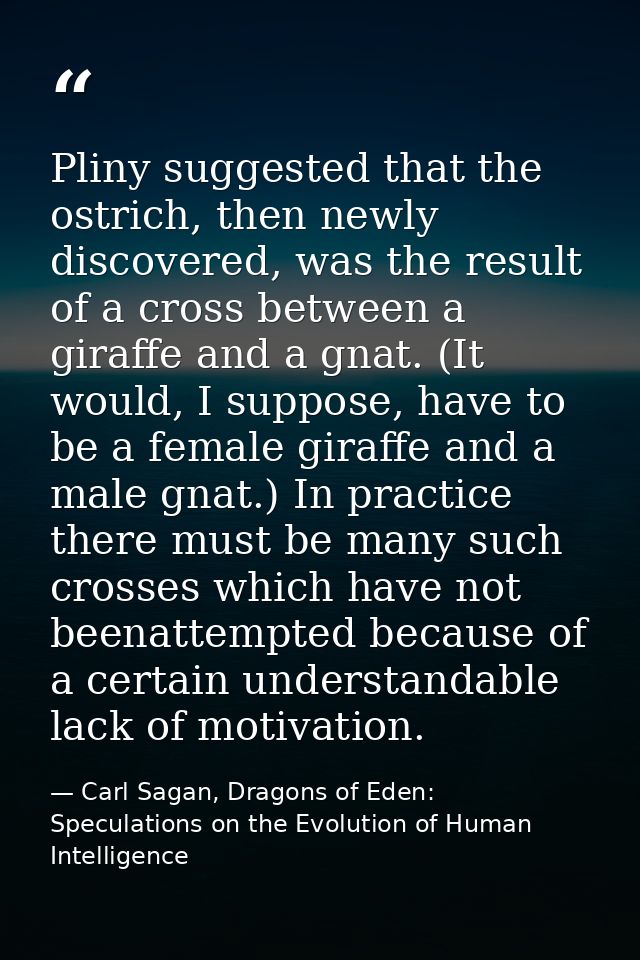 Pliny suggested that the ostrich, then newly discovered, was the result of a cross between a giraffe and a gnat. (It wou — Carl Sagan, Dragons of Eden: Speculations on the Evolution of Human Intelligence