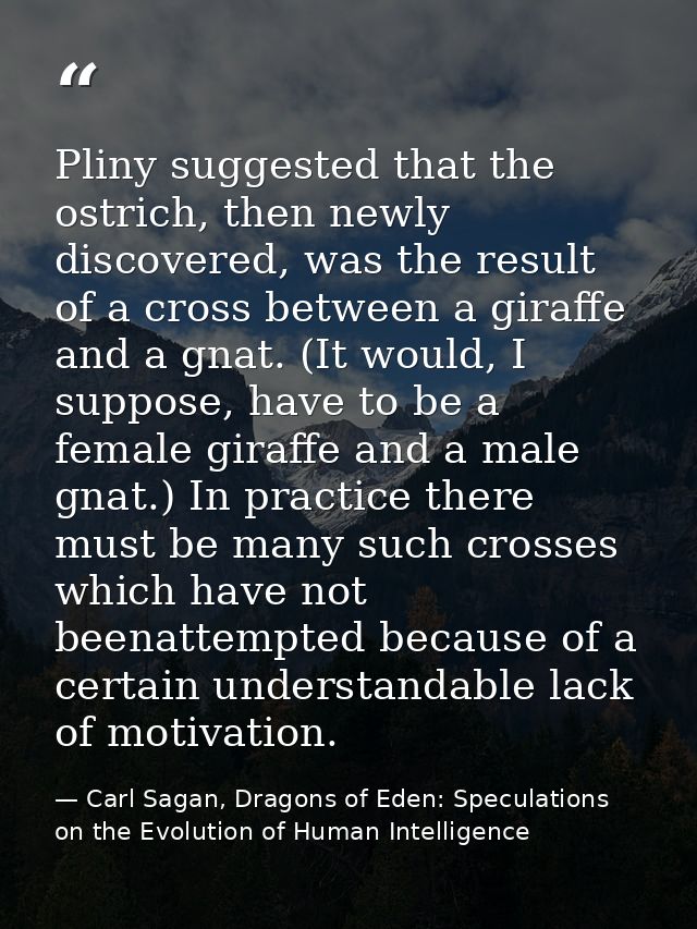 Pliny suggested that the ostrich, then newly discovered, was the result of a cross between a giraffe and a gnat. (It wou — Carl Sagan, Dragons of Eden: Speculations on the Evolution of Human Intelligence