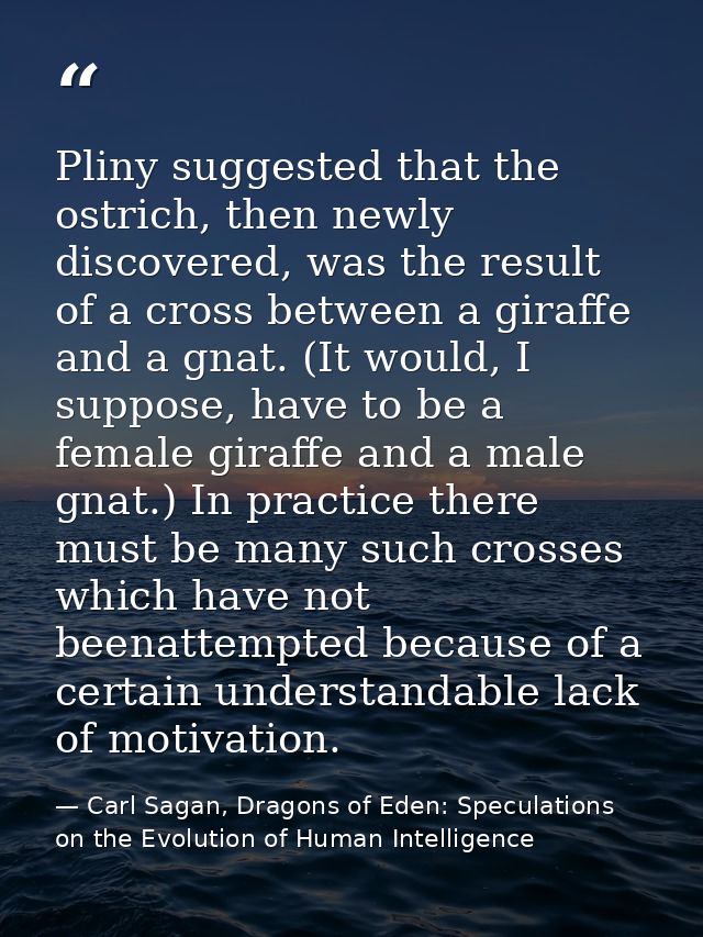 Pliny suggested that the ostrich, then newly discovered, was the result of a cross between a giraffe and a gnat. (It wou — Carl Sagan, Dragons of Eden: Speculations on the Evolution of Human Intelligence