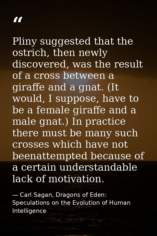 Pliny suggested that the ostrich, then newly discovered, was the result of a cross between a giraffe and a gnat. (It wou — Carl Sagan, Dragons of Eden: Speculations on the Evolution of Human Intelligence