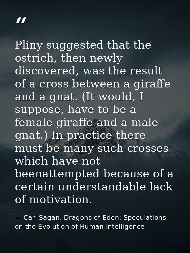Pliny suggested that the ostrich, then newly discovered, was the result of a cross between a giraffe and a gnat. (It wou — Carl Sagan, Dragons of Eden: Speculations on the Evolution of Human Intelligence