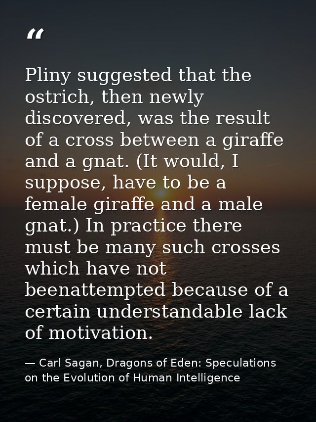 Pliny suggested that the ostrich, then newly discovered, was the result of a cross between a giraffe and a gnat. (It wou — Carl Sagan, Dragons of Eden: Speculations on the Evolution of Human Intelligence