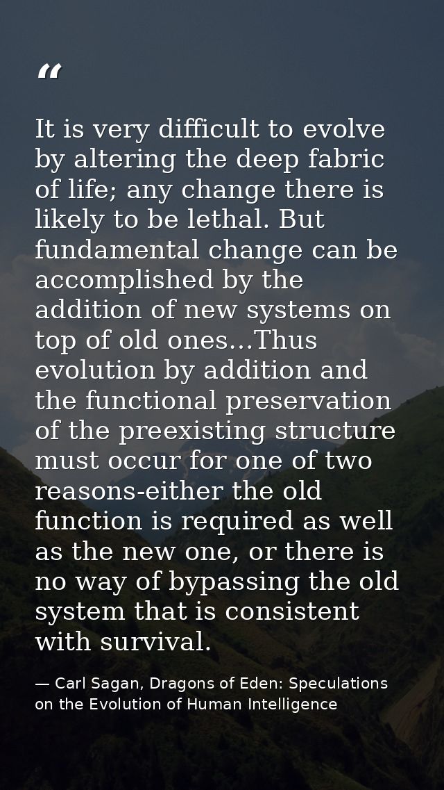 It is very difficult to evolve by altering the deep fabric of life; any change there is likely to be lethal. But fundame — Carl Sagan, Dragons of Eden: Speculations on the Evolution of Human Intelligence