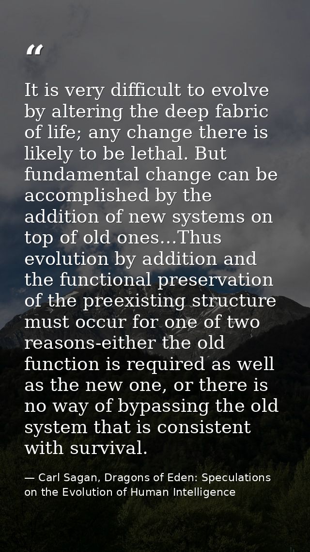 It is very difficult to evolve by altering the deep fabric of life; any change there is likely to be lethal. But fundame — Carl Sagan, Dragons of Eden: Speculations on the Evolution of Human Intelligence