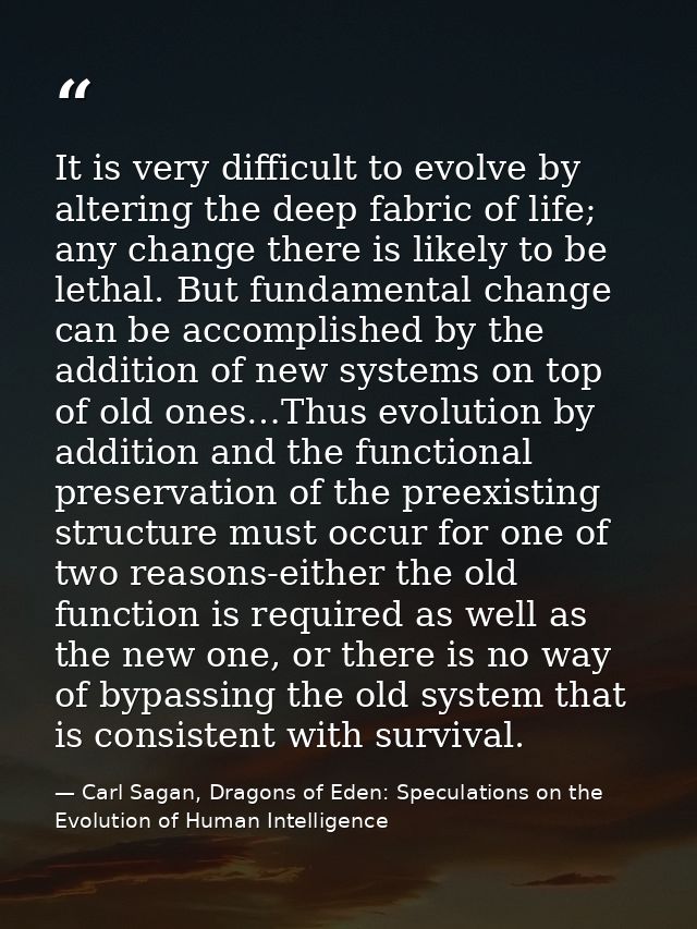 It is very difficult to evolve by altering the deep fabric of life; any change there is likely to be lethal. But fundame — Carl Sagan, Dragons of Eden: Speculations on the Evolution of Human Intelligence