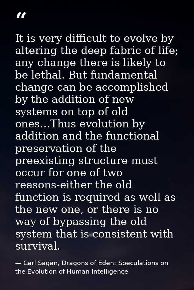 It is very difficult to evolve by altering the deep fabric of life; any change there is likely to be lethal. But fundame — Carl Sagan, Dragons of Eden: Speculations on the Evolution of Human Intelligence