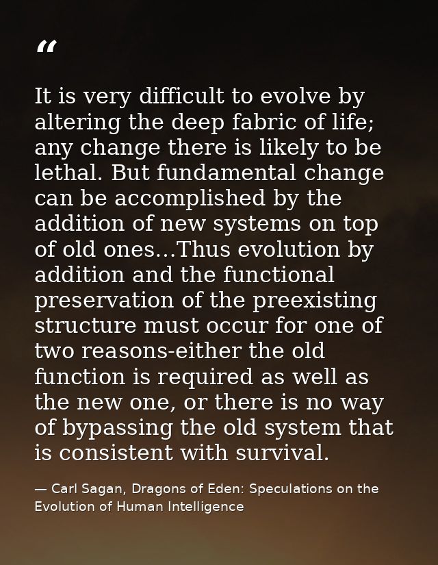 It is very difficult to evolve by altering the deep fabric of life; any change there is likely to be lethal. But fundame — Carl Sagan, Dragons of Eden: Speculations on the Evolution of Human Intelligence