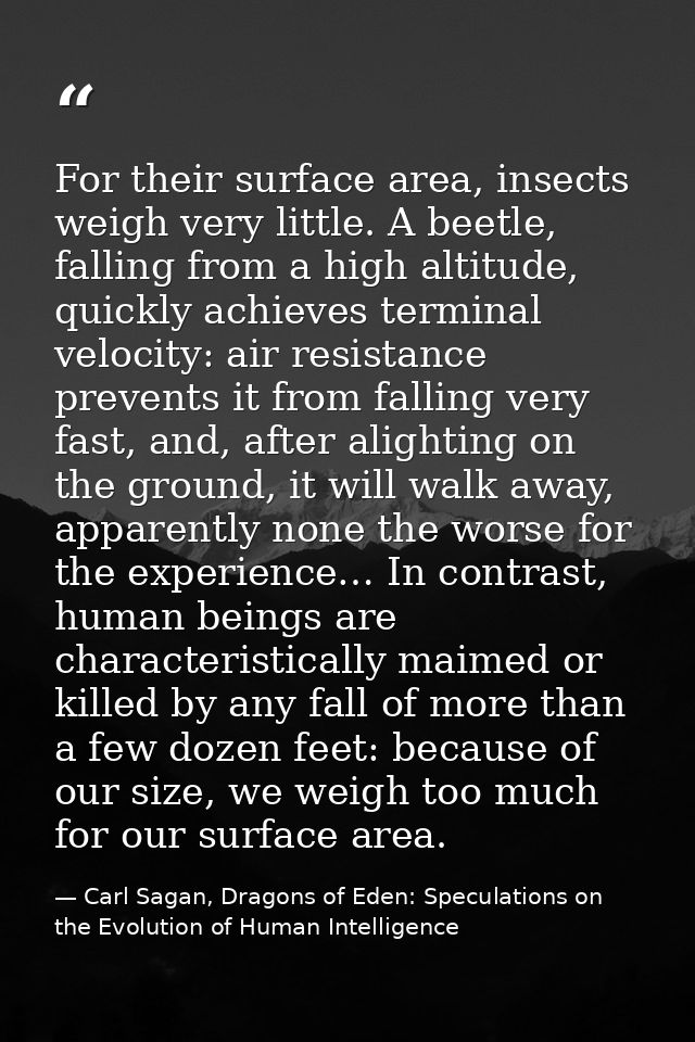 For their surface area, insects weigh very little. A beetle, falling from a high altitude, quickly achieves terminal vel — Carl Sagan, Dragons of Eden: Speculations on the Evolution of Human Intelligence