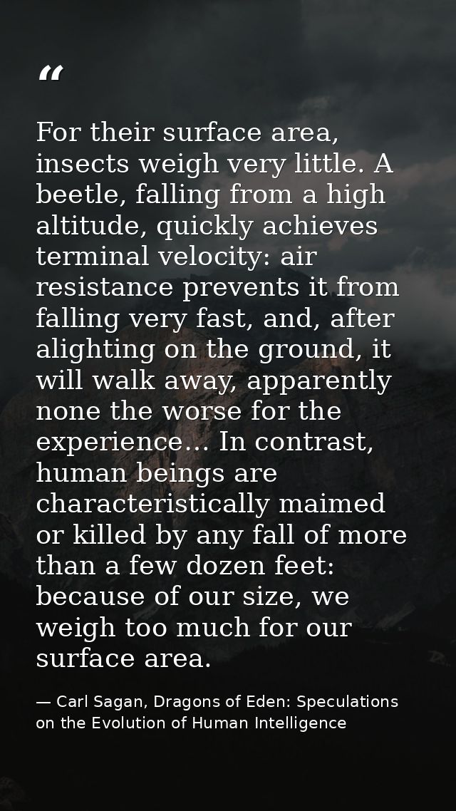 For their surface area, insects weigh very little. A beetle, falling from a high altitude, quickly achieves terminal vel — Carl Sagan, Dragons of Eden: Speculations on the Evolution of Human Intelligence